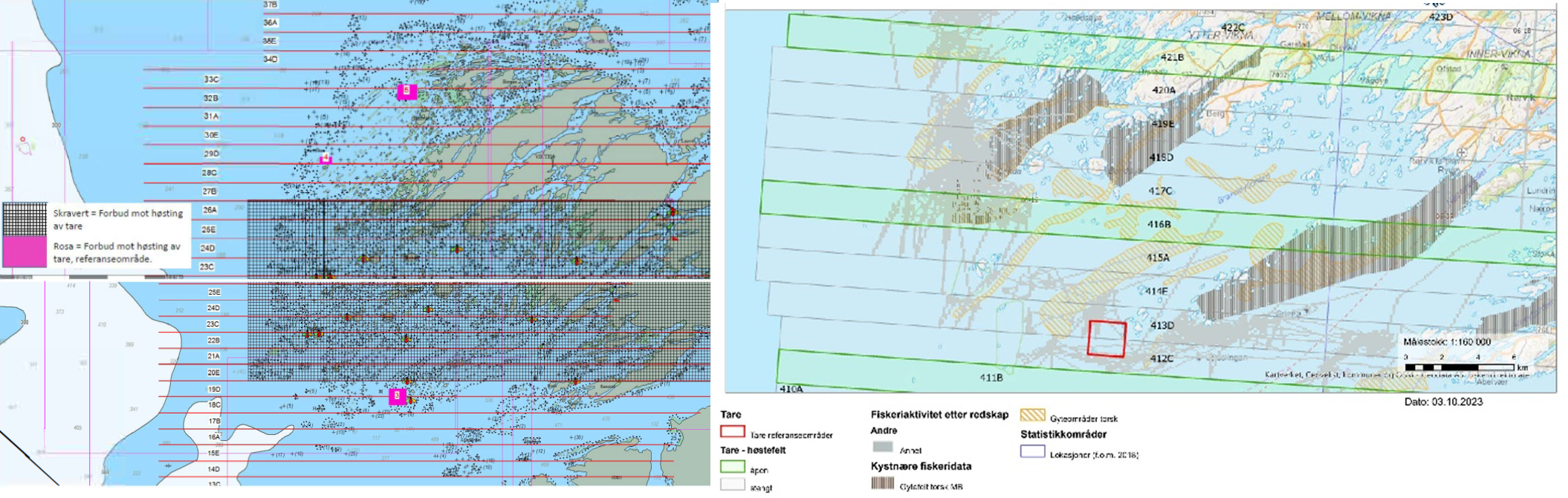 Figur 73 : Kart som til venstre viser skravert område (fra og med felt 20E til og med felt 26A) der det i perioden 2015-2019 var forbudt å høste tare med trål eller annen mekanisk redskap for å verne gyteinnsiget og gyteområdene. De rosa områdene viser referanseområder der det fremdeles er forbud mot høsting av tare. Kartet til høyre viser taretråling (gråe trålstreker) ift gyteområdene (grå skraverte områder). Tareområdene 20E-26A tilsvarer i dag områdene 414E-420A.