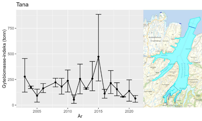 Figur 2 : Bunntrålindeks for gytebiomasse av kysttorsk i stratum Tana fra Havforskningsinstituttets årlige Kysttokt (oktober-november). Data på modning mangler fra 2022 og indeksen vises derfor bare frem til 2021. Feilstablene viser 5 og 95 %-kvantilene, mens punktestimatene er middelverdi over 500 bootstrap-iterasjoner i estimeringsprosessen. Den store usikkerheten i 2015-estimatet skyldes stor variasjon i torskefangster innenfor stratumet. Kartet til høyre viser området som inngår i stratum Tana.