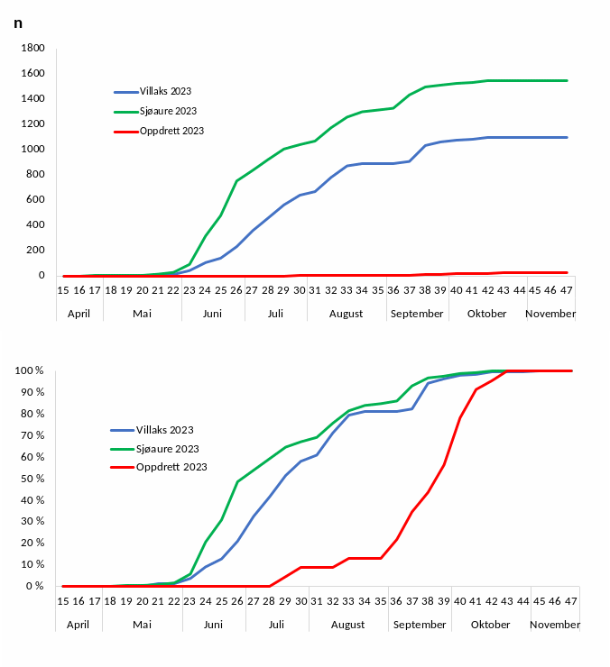 Figur 3 Kumulativ oppvandring av vill og rømt laks og sjøaure pr veke i fella 2023, absolutt tal (øverst) og prosentvis (nederst). Cumulative upstream migration of escaped salmon, and wild salmon and sea trout captured in the fish trap per week in 2023.