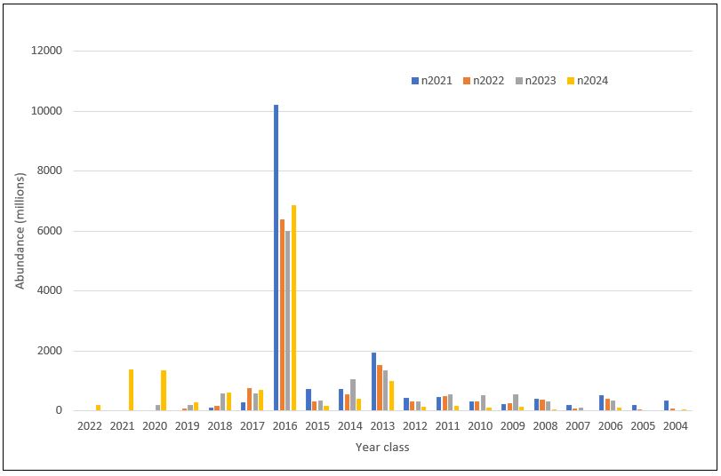 Bildet viser estimert antall sild per årsklasse fra de siste fire års nvg-gytetokt, fra 2021 til 2024. Antallet er gjennomsnitt av 1000 boostrap-kjøringer.