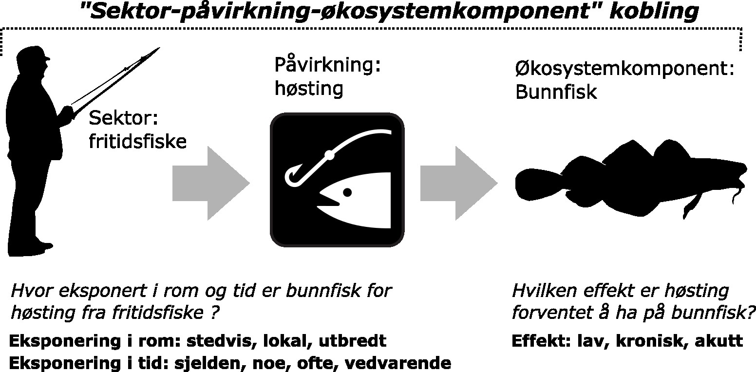 Illustrasjon som forklarer hvordan sektorer kobles til påvirkninger som igjen kobles til økosystemkomponenter, og hvordan disse koblingene blir vektet i henhold til ODEMM metoden.