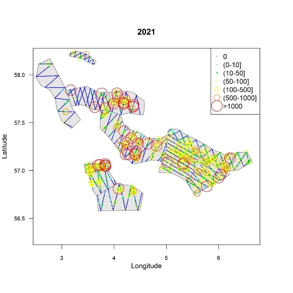 Figur 8 Geografisk utbredelse av ekkotetthet av tobis per 0,1 n.mi. for perioden 2021. Størrelsen og fargen på sirklene indikerer ekkotettheten (NASC). Nullverdien er angitt som blå prikker.