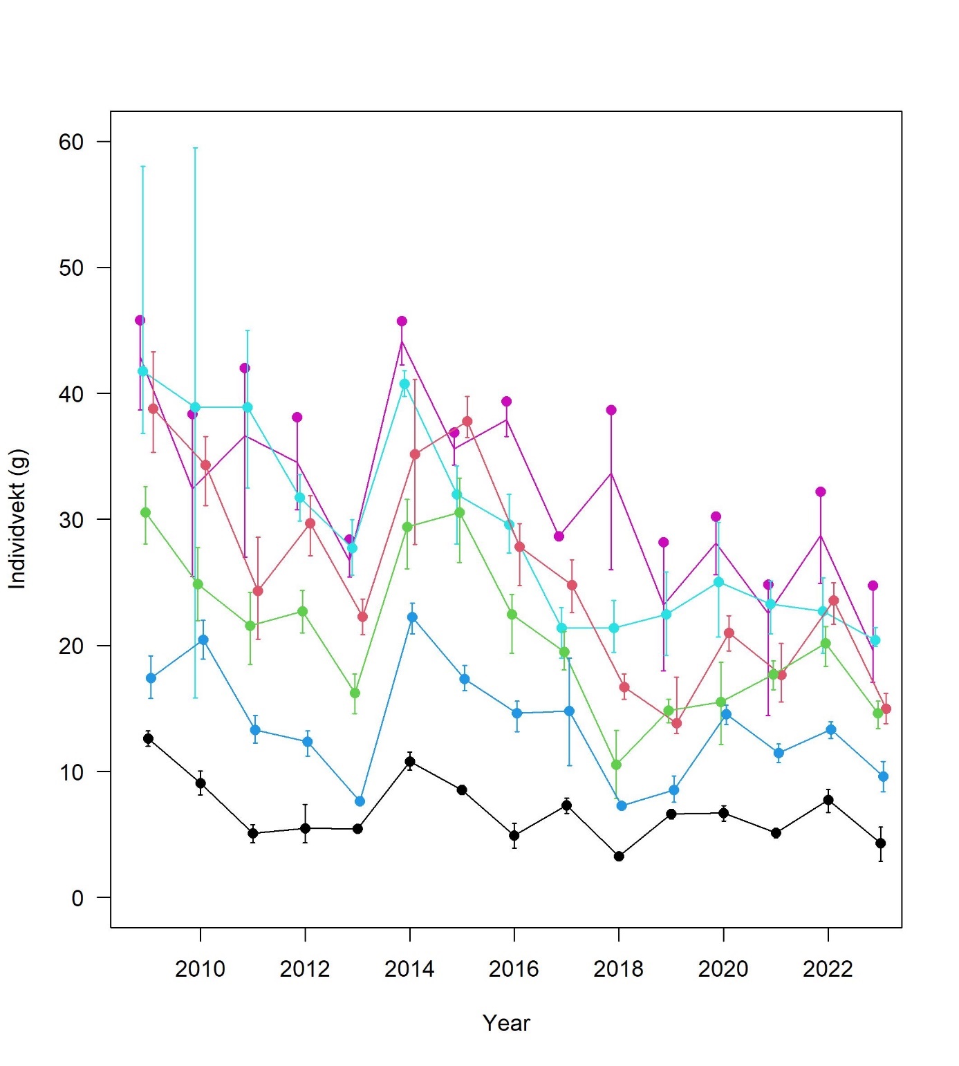 Figure 12  Individvekt (g) per alder per år for forvaltnings-områdene 1-4 i NØS (unntatt Nordgyden). 