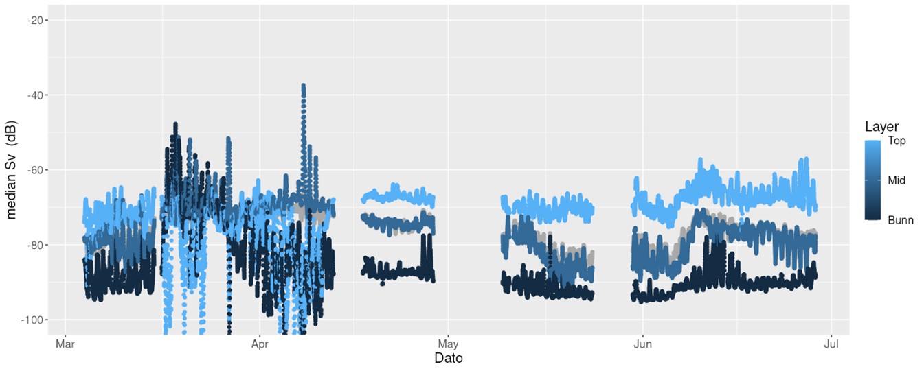 Figuren viser en grafe med dato på x-aksen og median backscatter på y-aksen. Grafen viser backscatter-data fra  høyt, midt i, og i bunn av vannsøylen. 