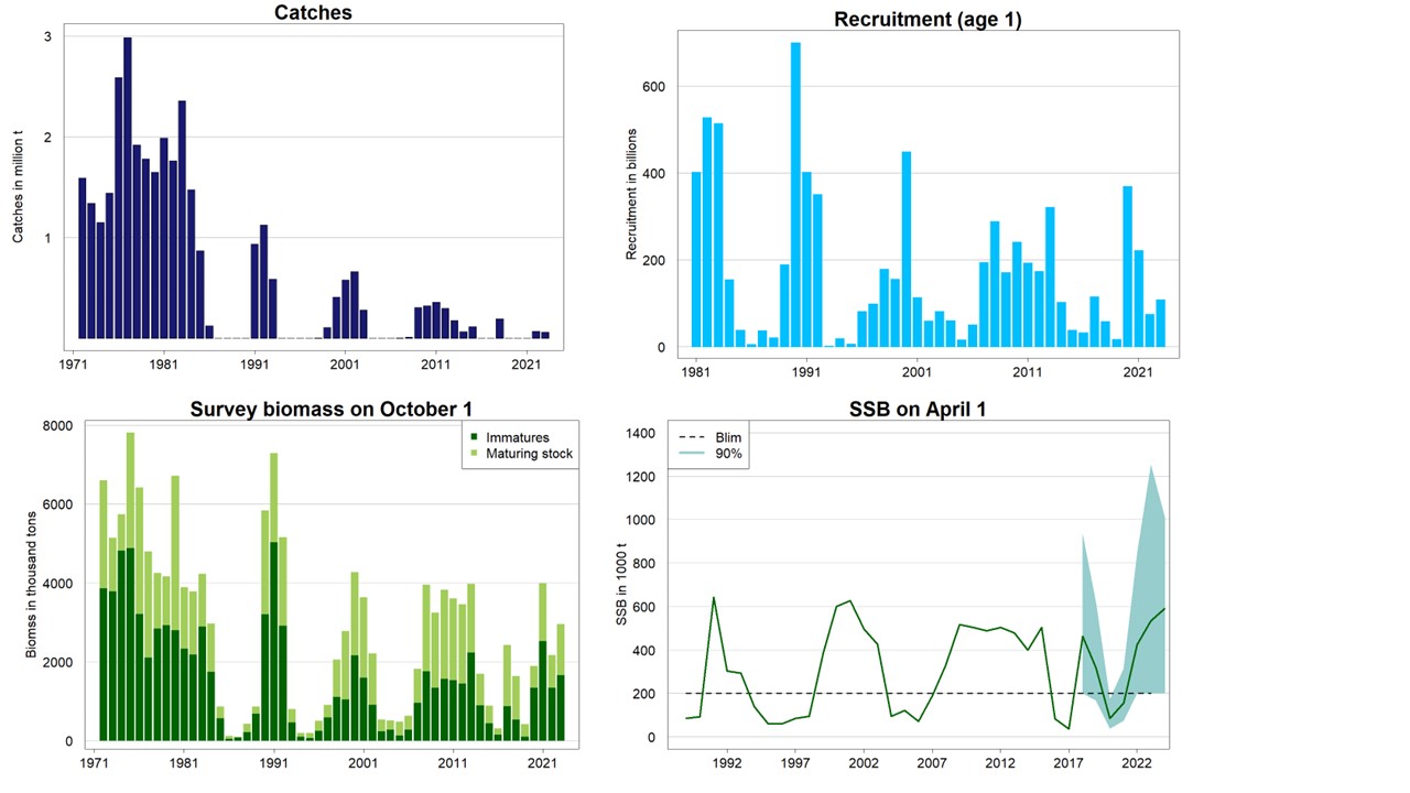 Figure 1. Barents Sea capelin (ICES subareas 1 and 2, excluding Division 2.a west of 5°W). Catch, recruitment, survey biomass (age 1+, maturing (> 14cm) and immature (< 14 cm) stock biomass), and SSB (1 April) with 5 and 95 % confidence limits. 