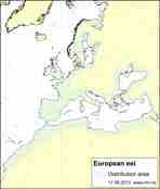 Distribution map Eel