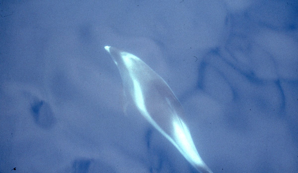 HI 017857