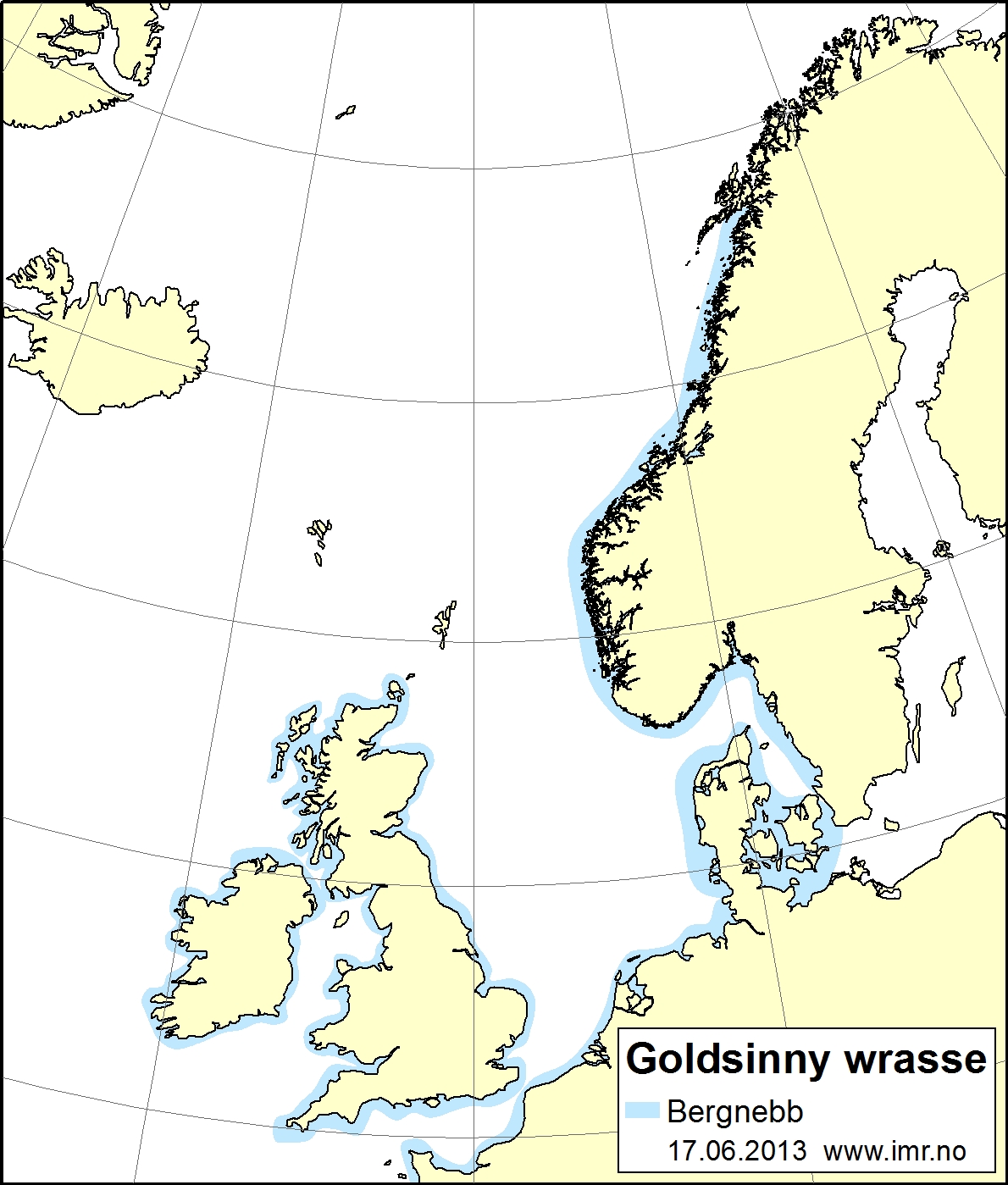 goldsinny wrasse