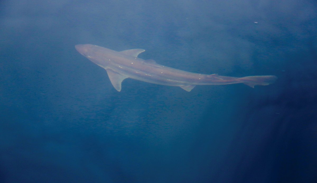 HI-030141.jpg