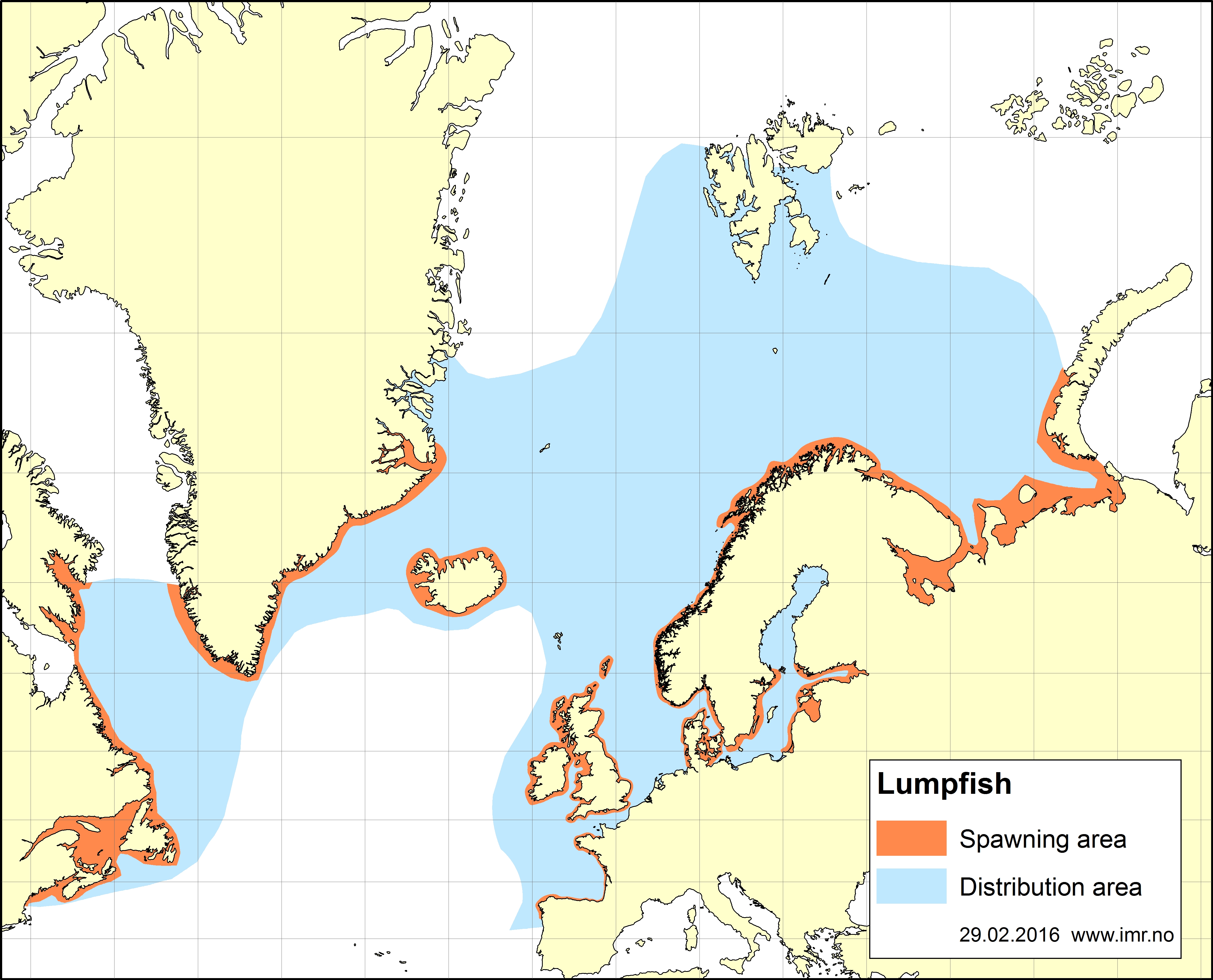 lumpfish