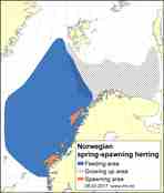 Distribution map herring