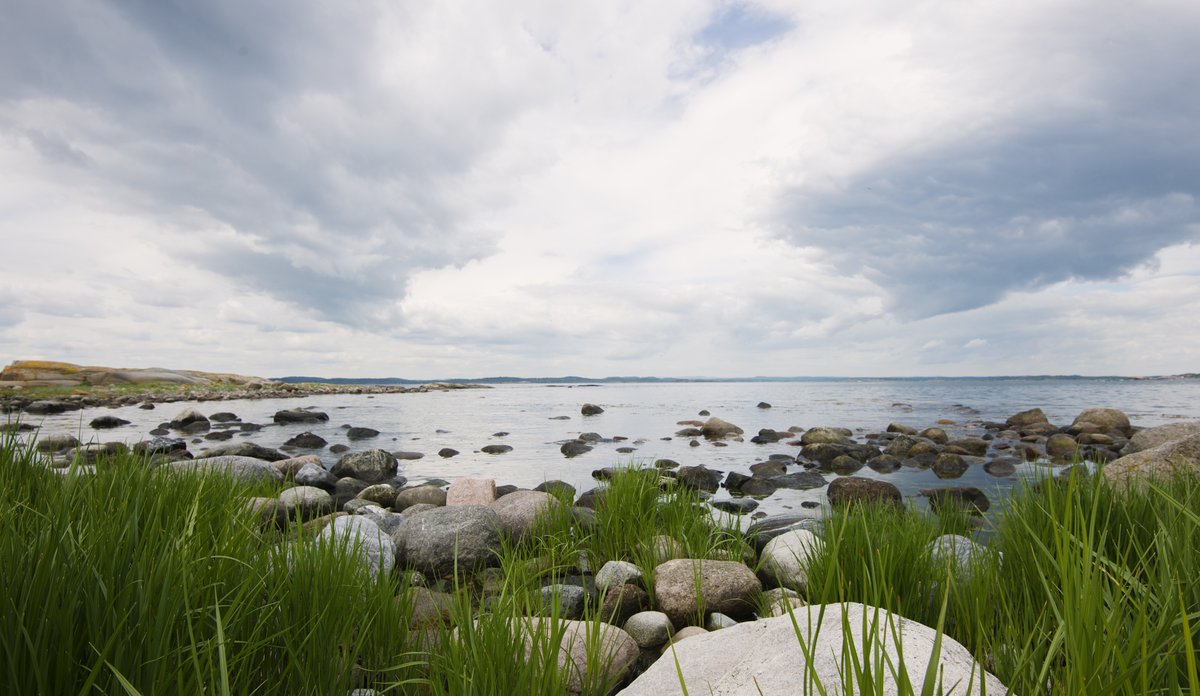 sandstrand på sommer med grønt gress