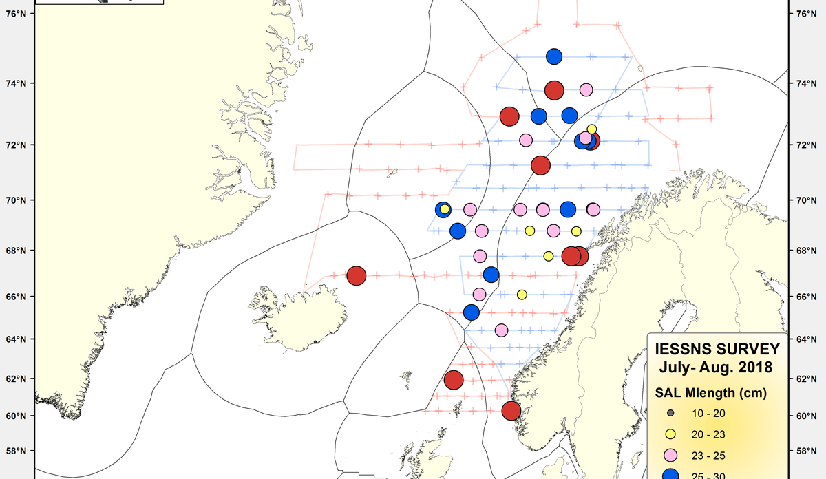 IESSNS SAL Mlength (cm) July August 2018 cr