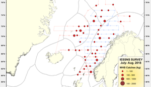 IESSNS WHB Catches (kg)  July August 2018 cr