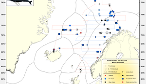 IESSNS Whale Observation  July August 2018 cr