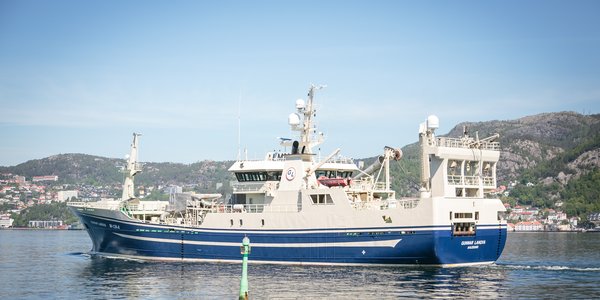 

HI 039859