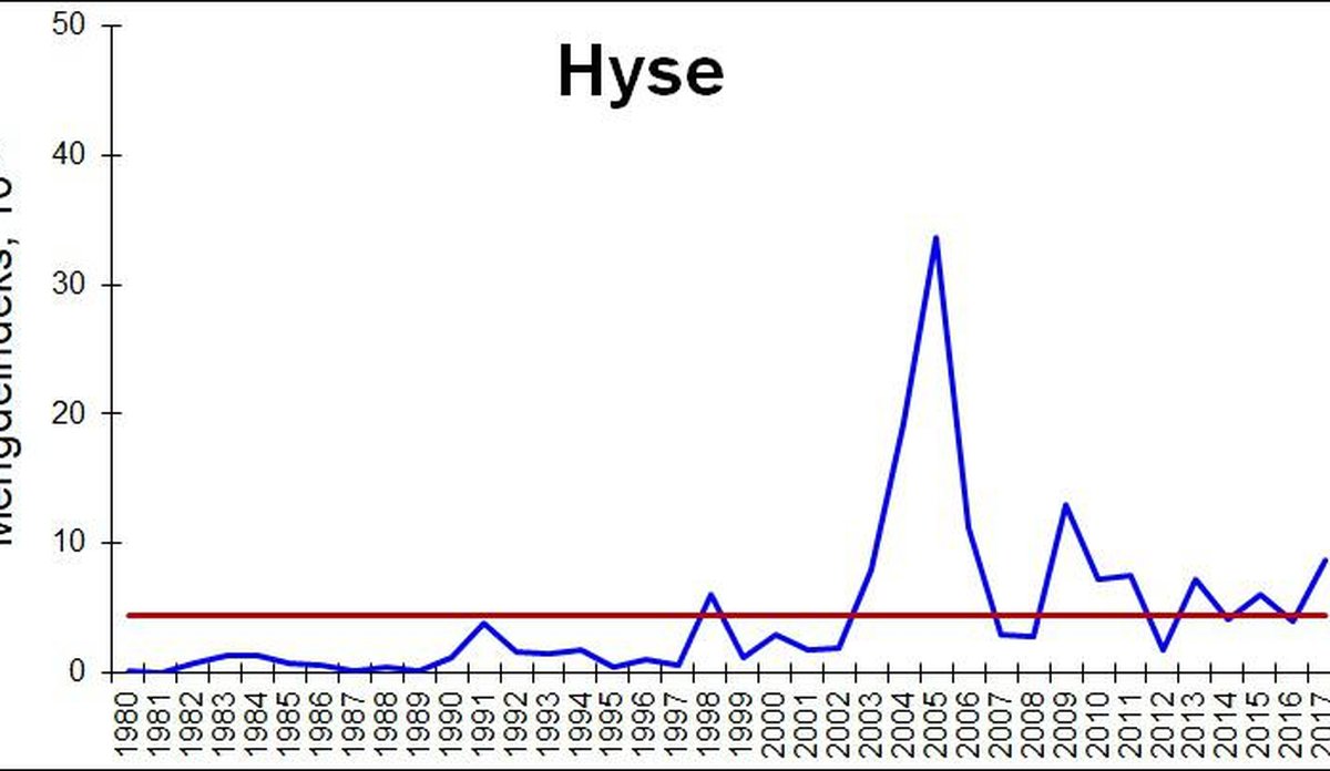 
Hyse