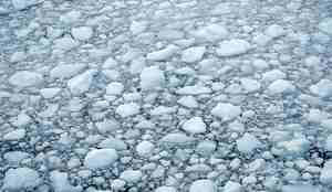 Mange små flak med is som flyter i sjøen  