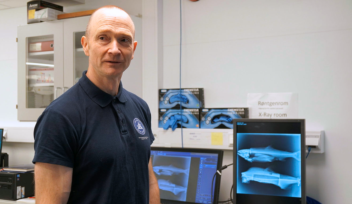 Per Gunnar Fjelldal røntgen pukkellaks