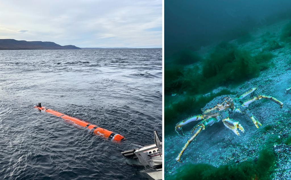 karusellkollasj mal (4)