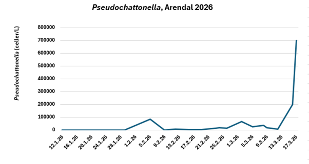Graf som viser økning i alge-konsentrasjon.