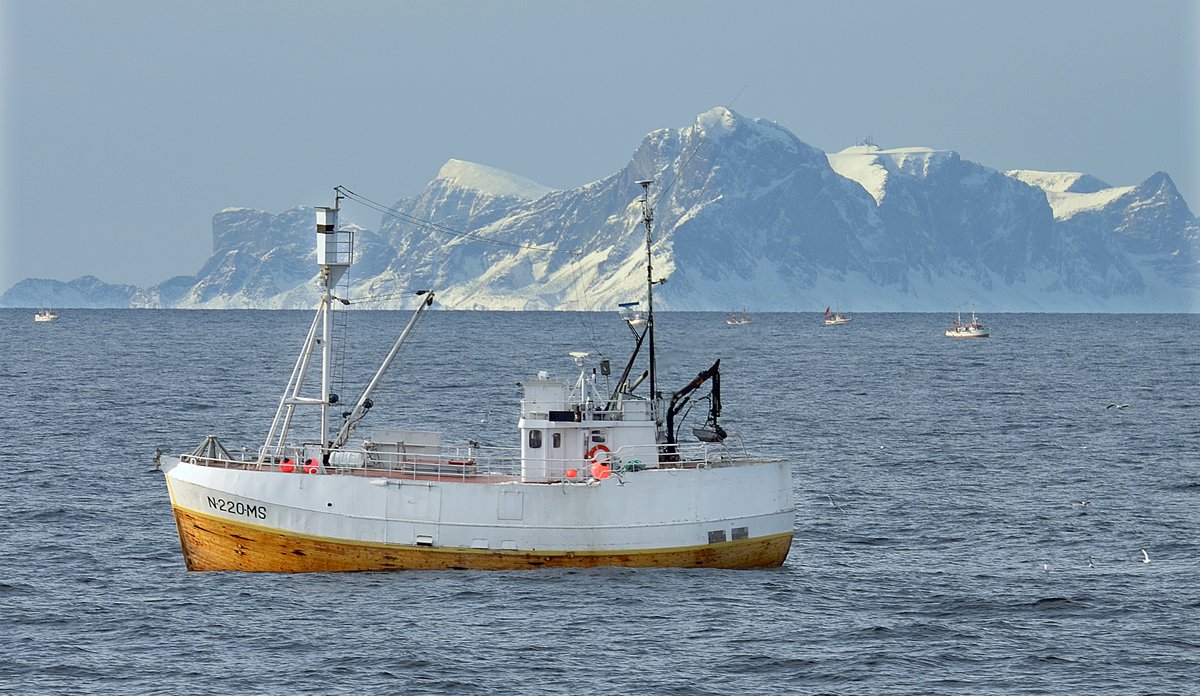 
Fiskebåt på fjorden med snødekte fjell i bakgrunnen.