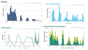 Diagram over bestandsutvikling for lodde (fangst, rekruttering, SSB og biomasse)