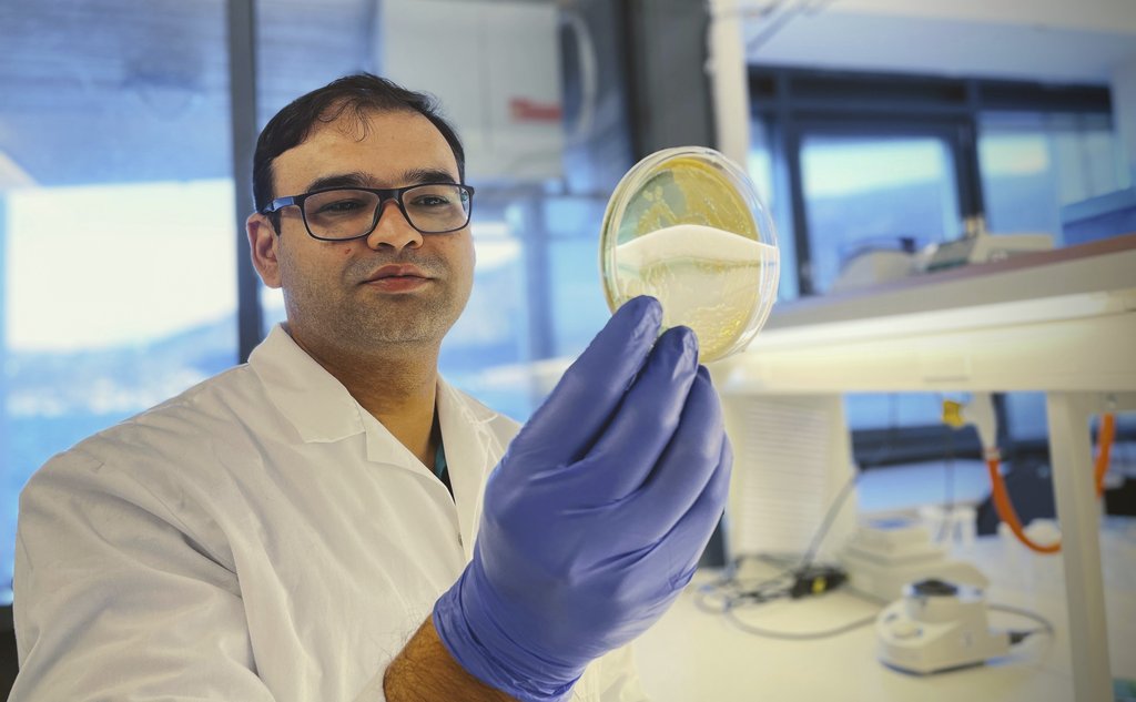 A scientist in a lab, holding a petridish with samples.