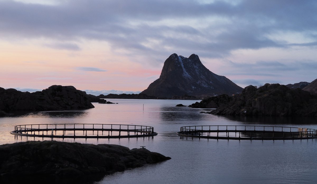 
To oppdrettsmerder som ligger mellom noen små holmer.