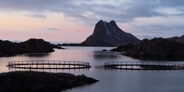 

To oppdrettsmerder som ligger mellom noen små holmer.