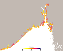 Kartmodell over Skagerrak og Oslofjord med forventet påslag av plast.