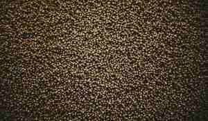 fôrpellets