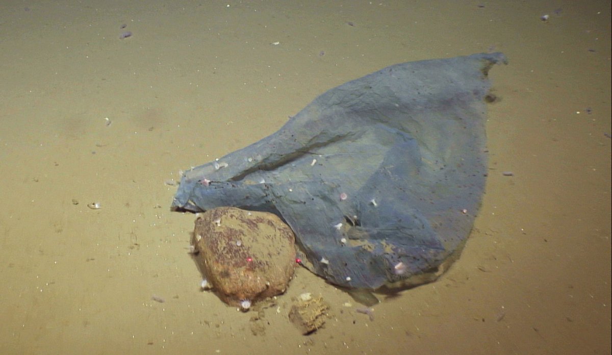 
Bilde av sandbunn som er delvis dekket av plast.