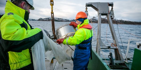 

Figur med kart som viser modellerte drivbanar for mikroplast i Nord-Atlanteren.