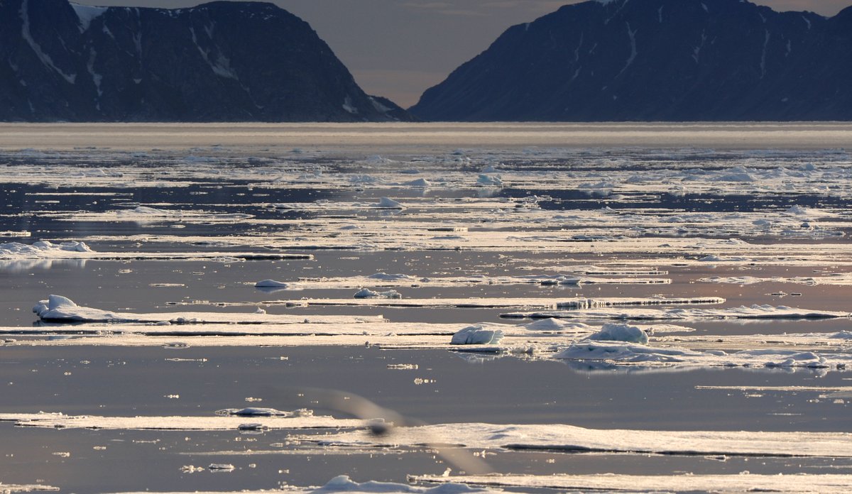 Bilde fra Polhavet med havis på sjøen og fjell i bakgrunnen.