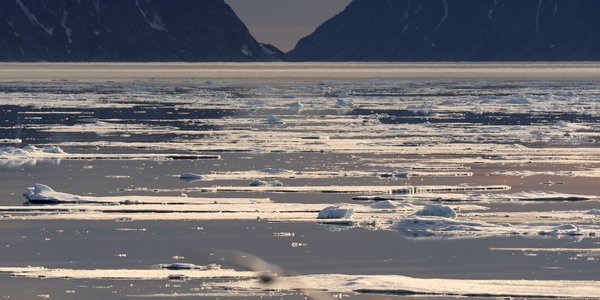 

Bilde fra Polhavet med havis på sjøen og fjell i bakgrunnen.