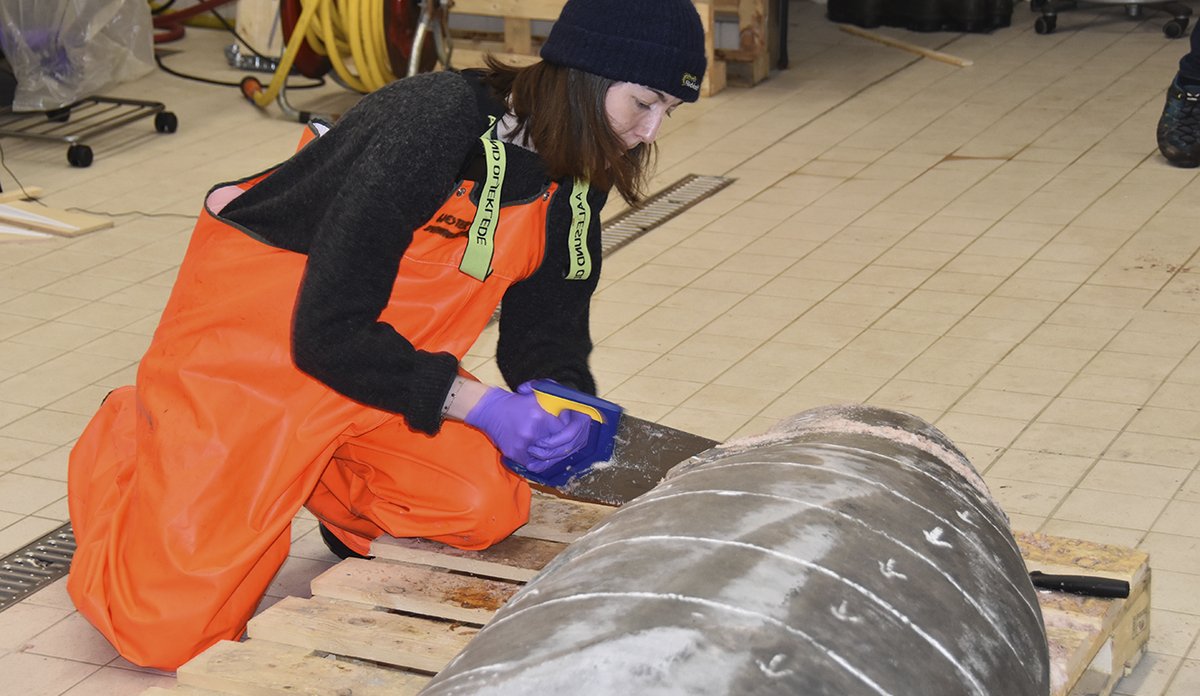 Kvinne sager i haiens bakparti