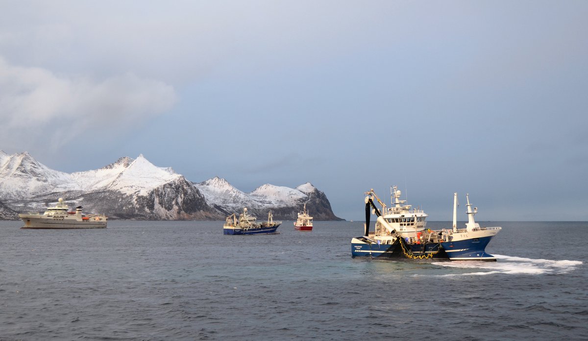 
Illustrasjonsbilde som viser fiskebåtar på sjøen, snøkledde fjell i bakgrunnen.