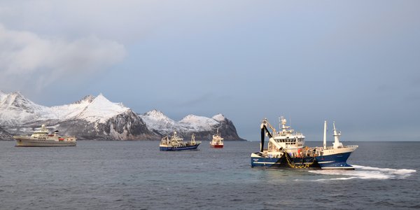 

Illustrasjonsbilde som viser fiskebåtar på sjøen, snøkledde fjell i bakgrunnen.