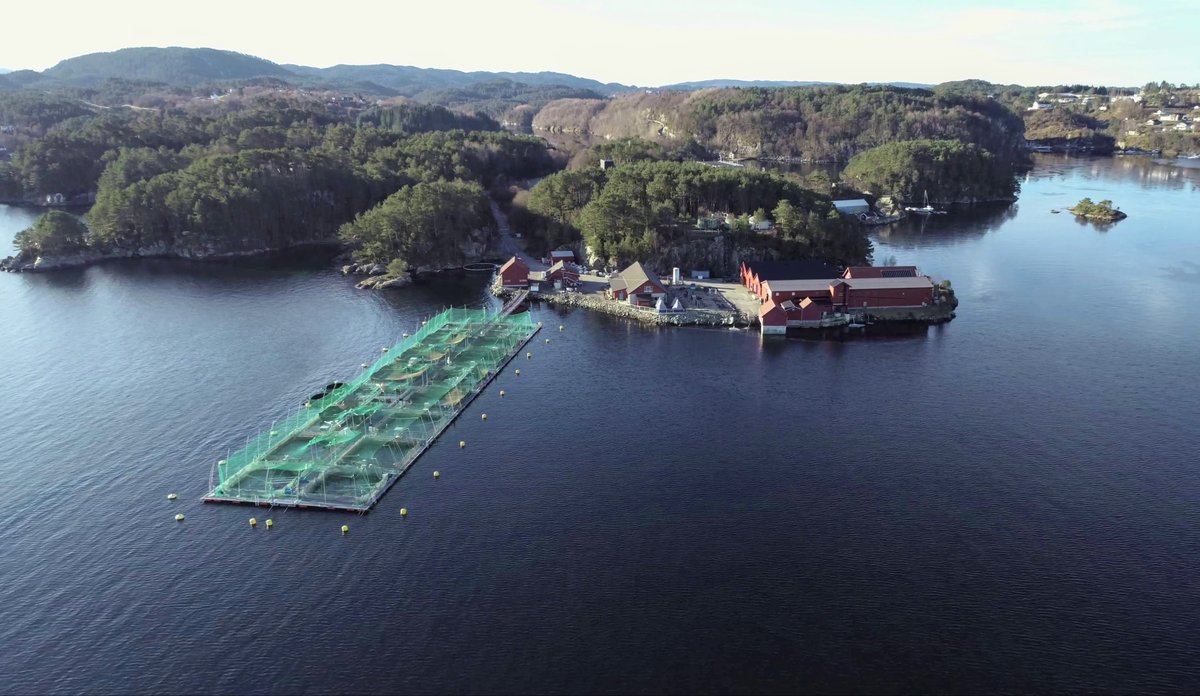 dronefoto av merder i sjø