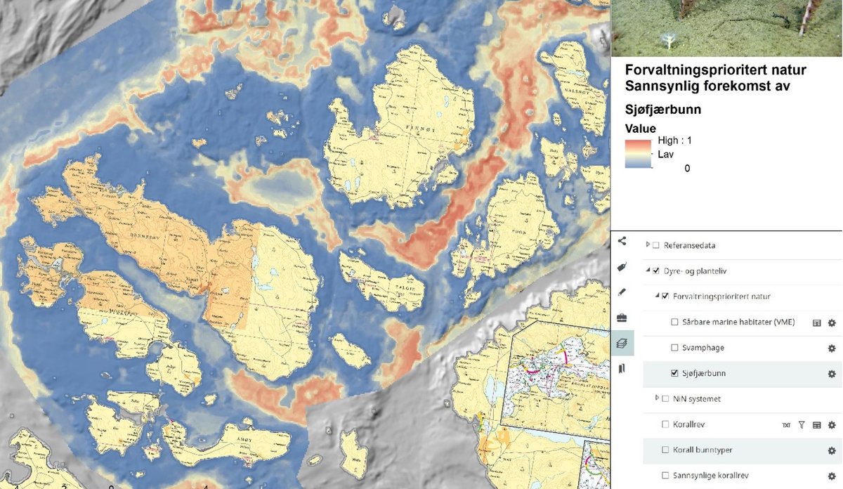 Kartet viser områder som sannsynligvis har sjøfjærbunn.