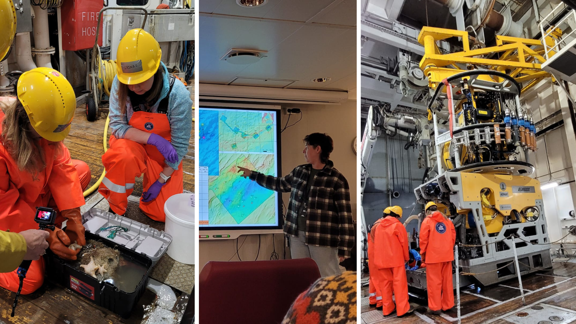 3 bilder som viser ulike situasjoner om bord på forskingsfartøyet.