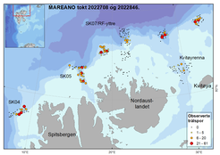 Kart over havbunnen nord for Svalbard. Stasjoner der det ble funnet trålspor er merket.