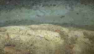 Bilde av trålspor på sandbunn.