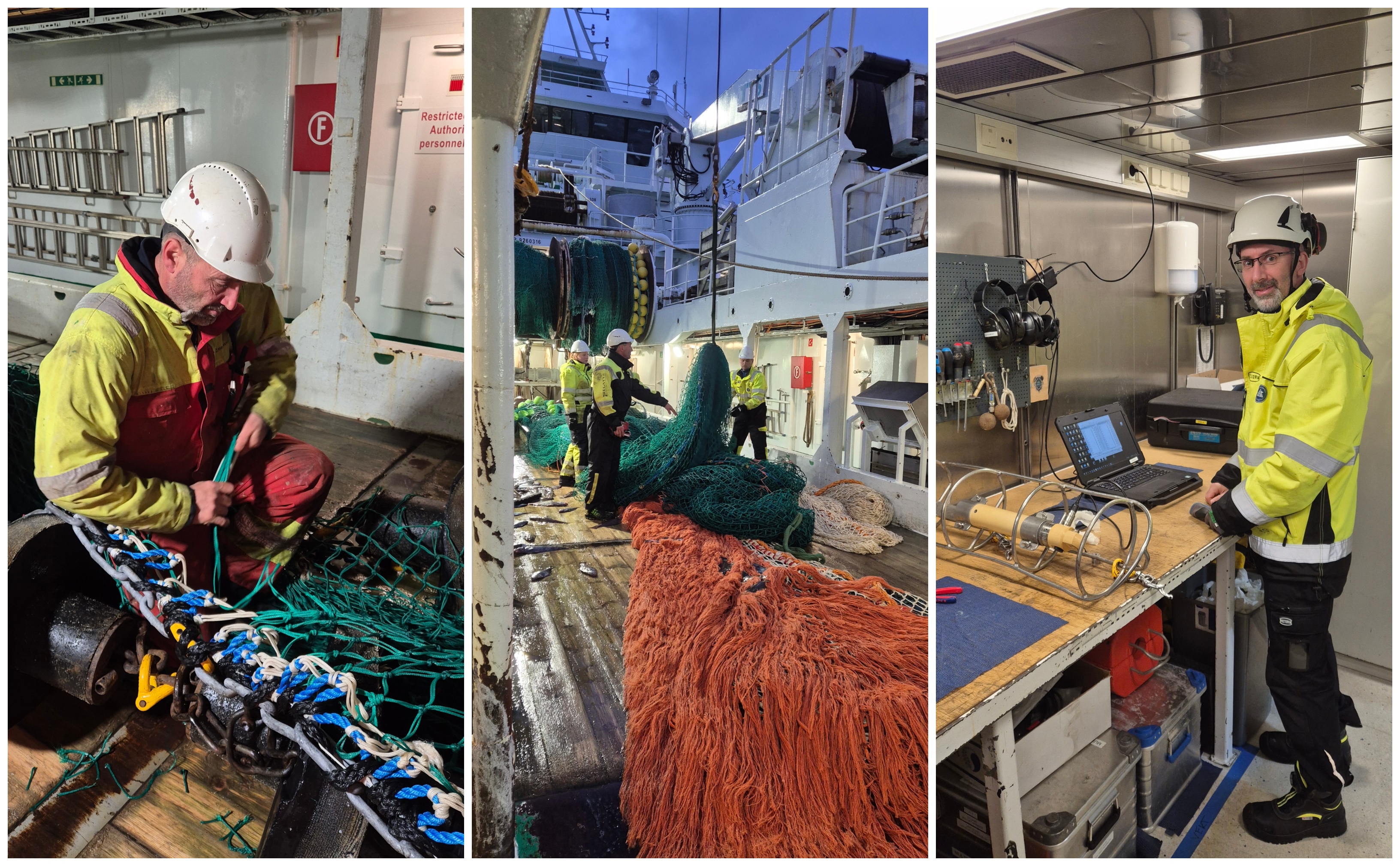 kollasj av tre bilder som viser forsker som registrerer vassild, noen som sitter framfor en data og en person som tar et bile av en blåkveite