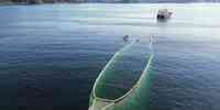 

Dronebilde av en fiskebåt som tauer en spesiell, avlang fiskemerd mot land